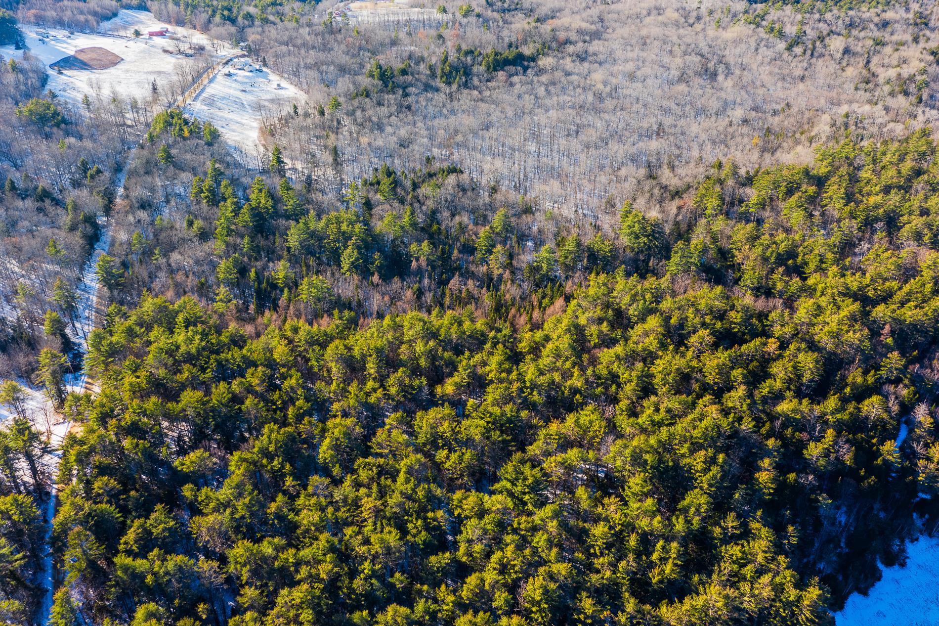 0 Spectacle Pond Road Grafton, NH 03240 - Photo 5 of 11