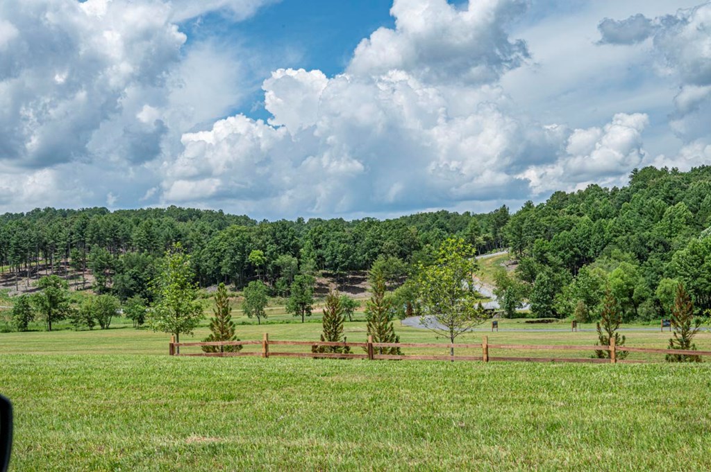 151 The Ridges Morganton, GA 30560 - Photo 28 of 35