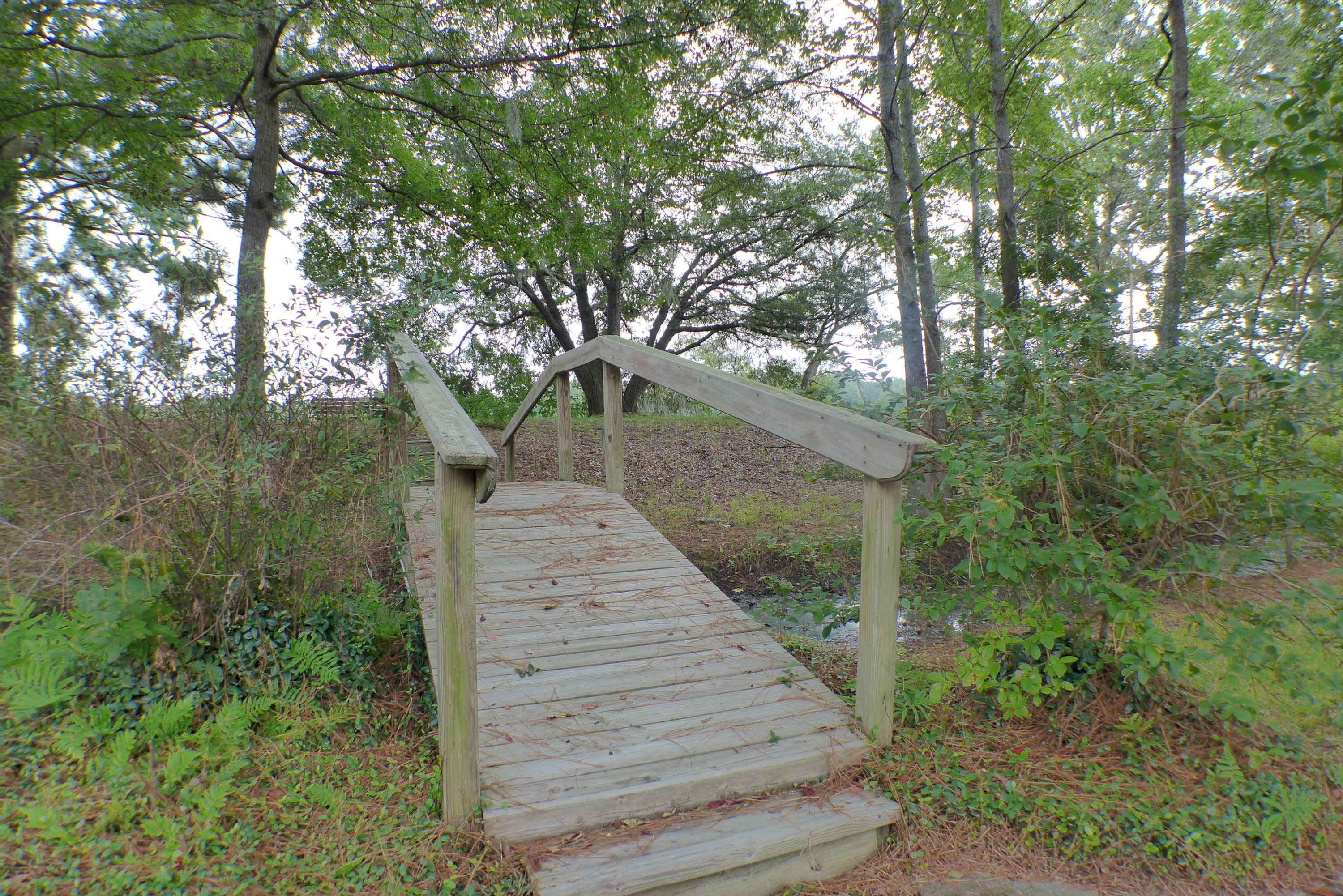 1106 Churchill Road Moncks Corner, SC 29461 - Photo 49 of 60 P1110381