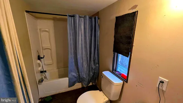 a bathroom with a shower and a toilet