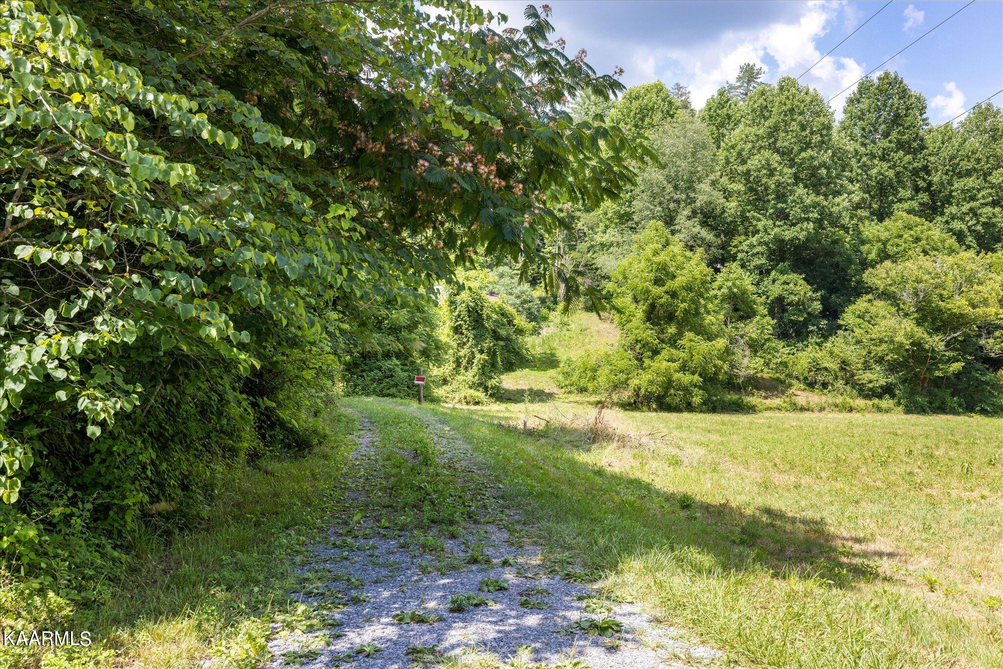 Henry Town Road Sevierville, TN 37876 - Photo 2 of 7 03-IMG_0001