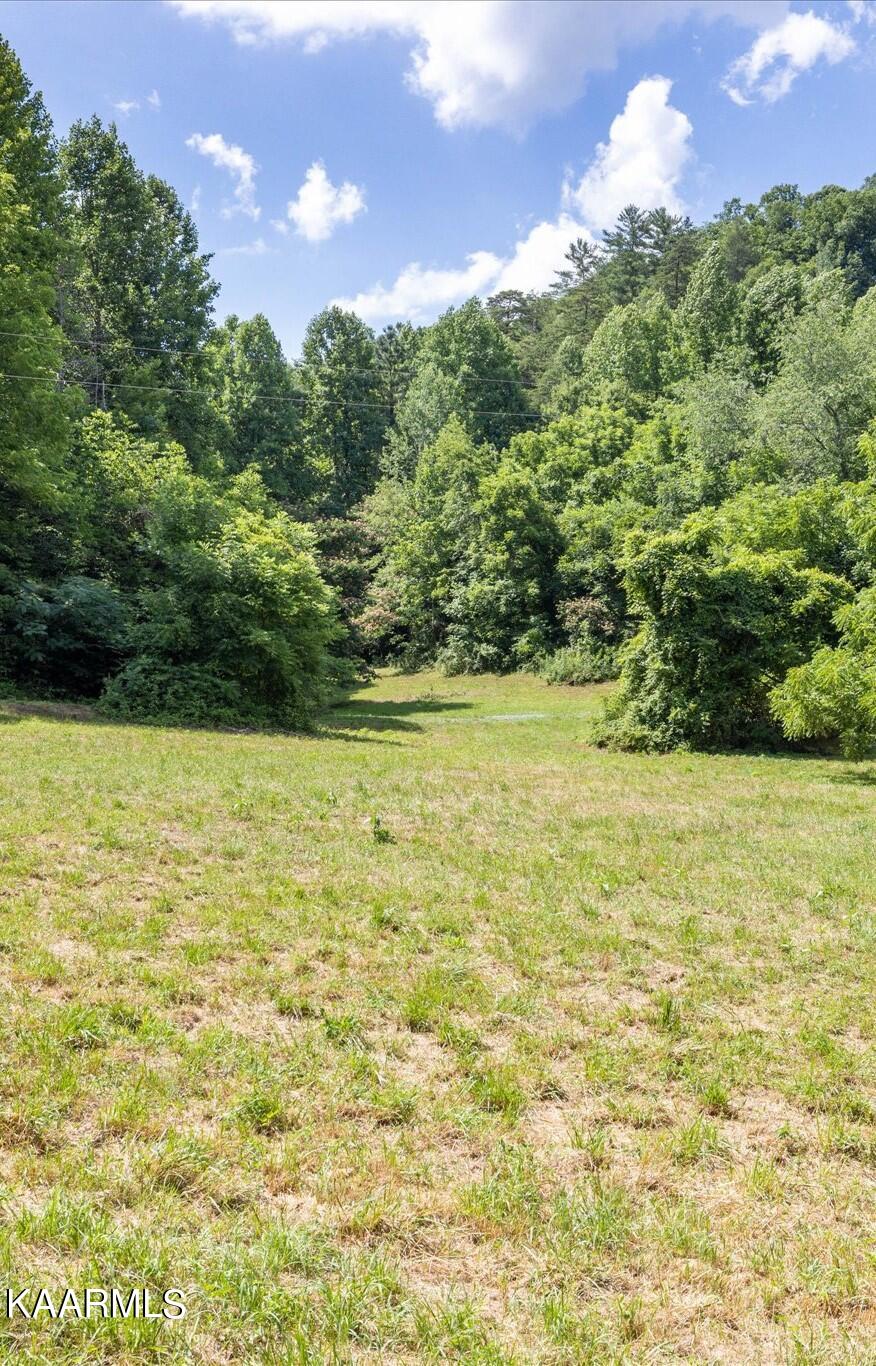 Henry Town Road Sevierville, TN 37876 - Photo 3 of 7 Lot 3