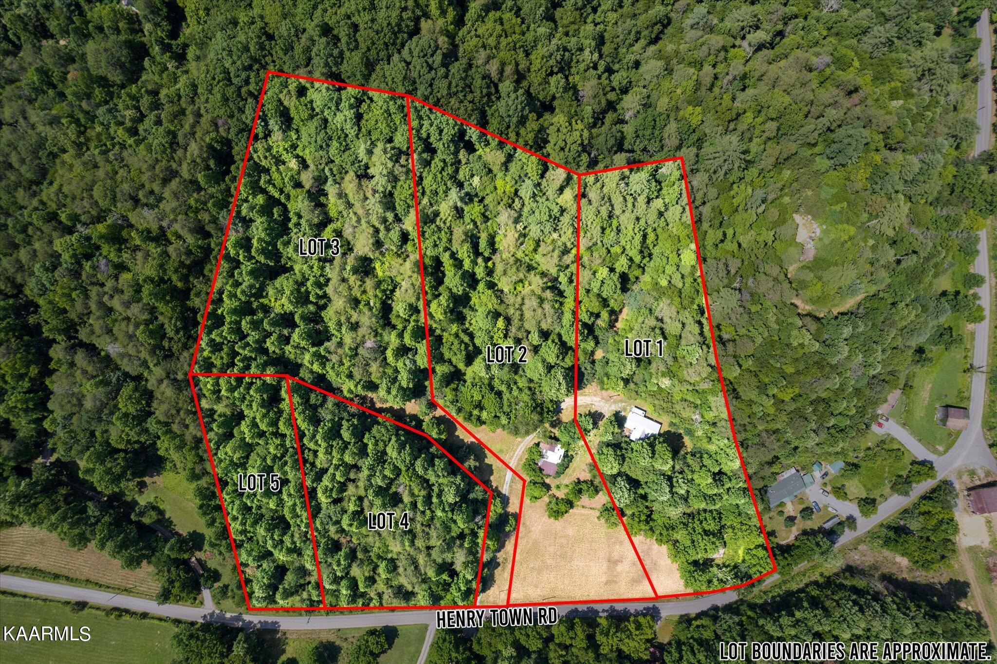 Henry Town Road Sevierville, TN 37876 - Photo 5 of 7 46-DJI_0002a