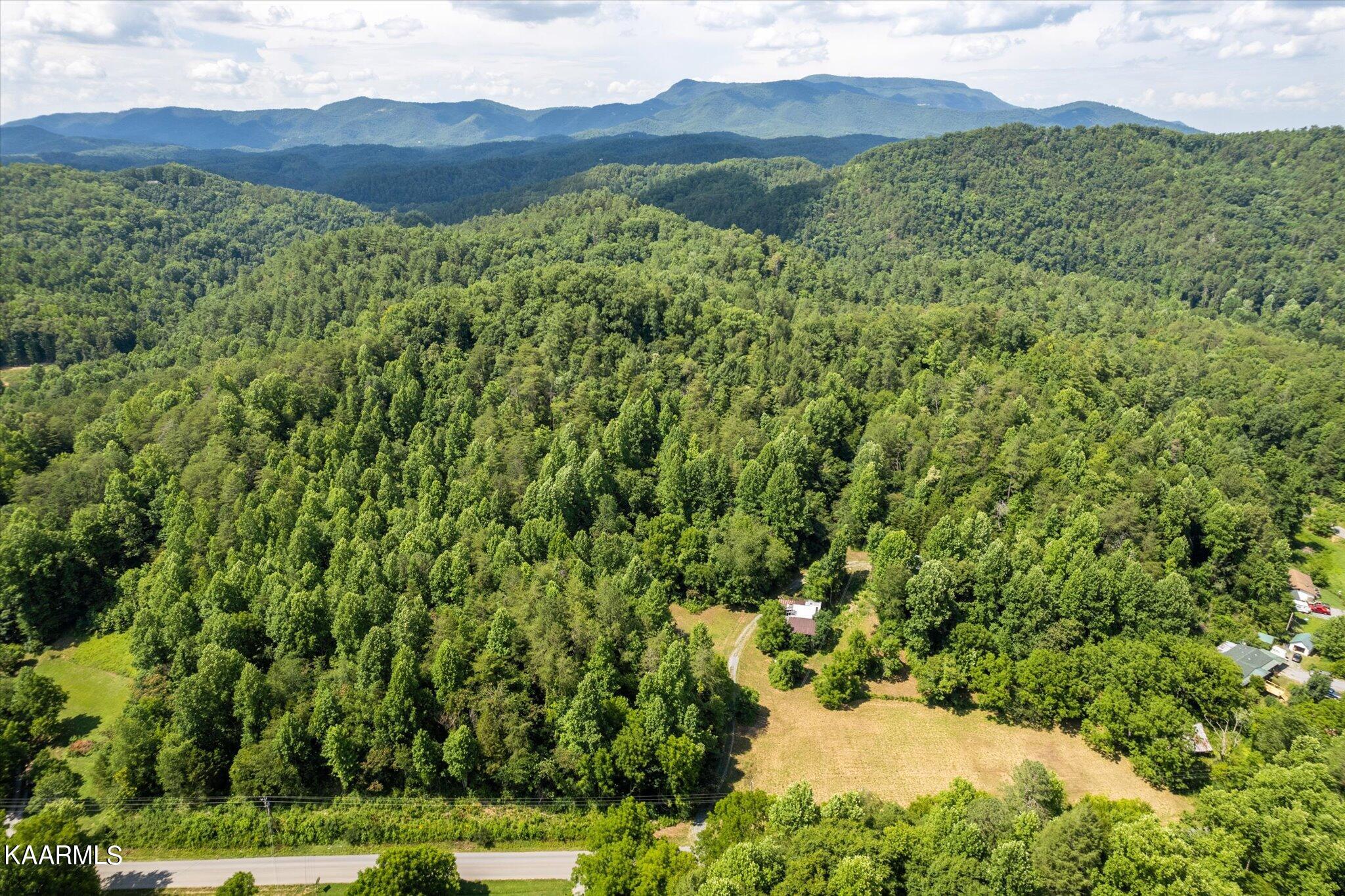 Henry Town Road Sevierville, TN 37876 - Photo 7 of 7 41-DJI_0055