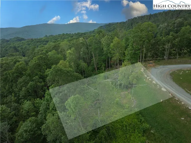 a view of a bunch of trees and bushes