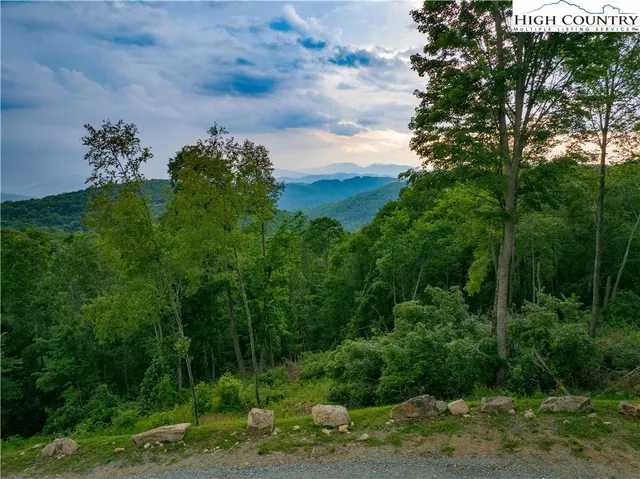a view of a park with large trees