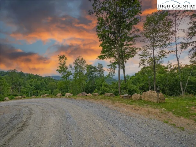 a view of a field with trees