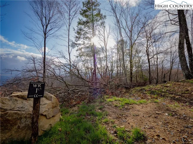 a view of a street with a tree