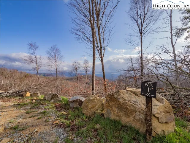 a view of a dry yard with trees
