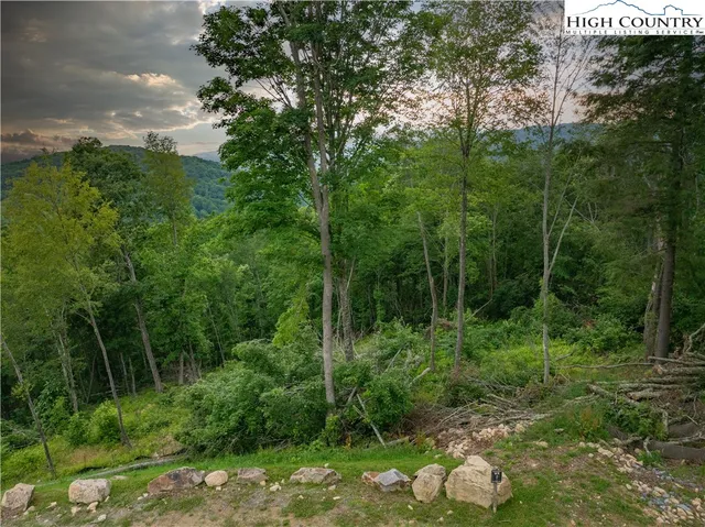 a view of a back yard