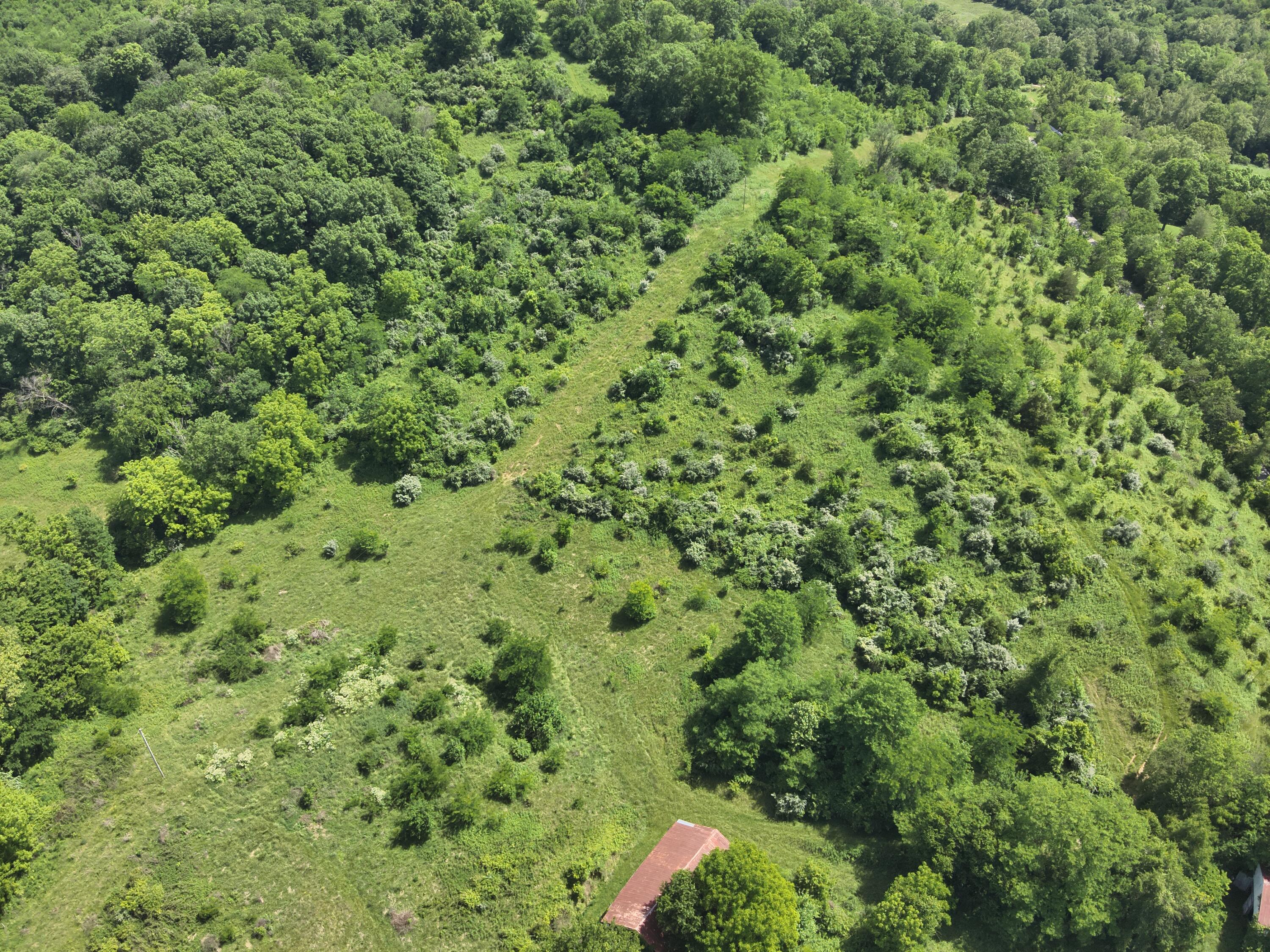 113 Lee's Creek Road Dover, KY 41034 - Photo 21 of 30 DJI_20260529151623_0005_V