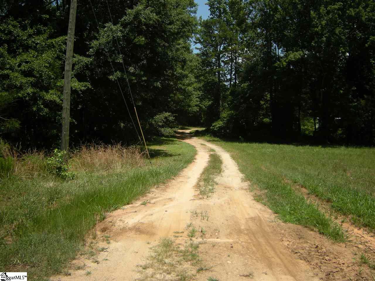 370 Bill Pearson Road Woodruff, SC 29388 - Photo 1 of 13