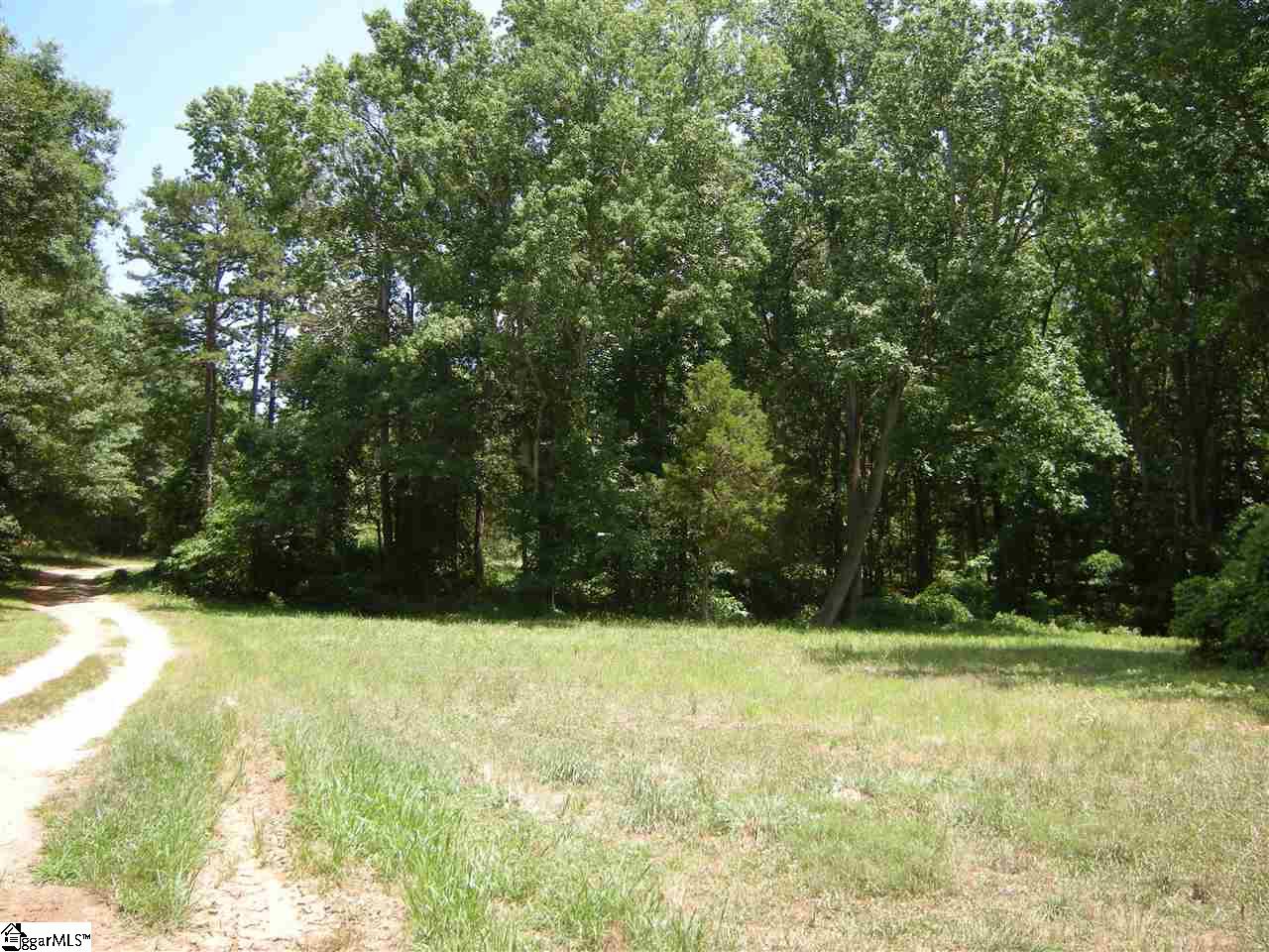 370 Bill Pearson Road Woodruff, SC 29388 - Photo 2 of 13