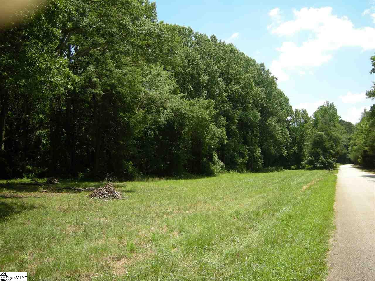 370 Bill Pearson Road Woodruff, SC 29388 - Photo 11 of 13
