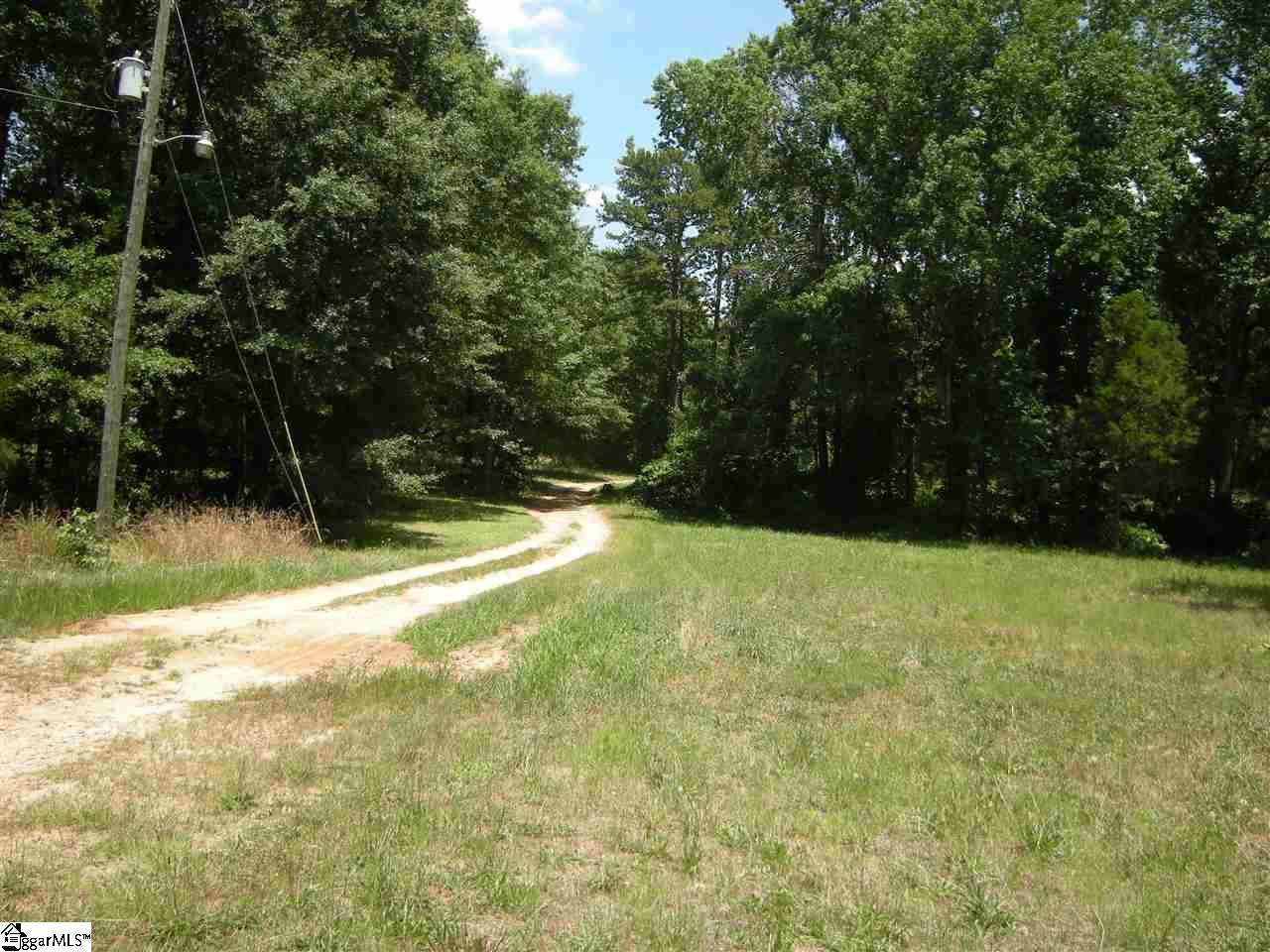 370 Bill Pearson Road Woodruff, SC 29388 - Photo 12 of 13