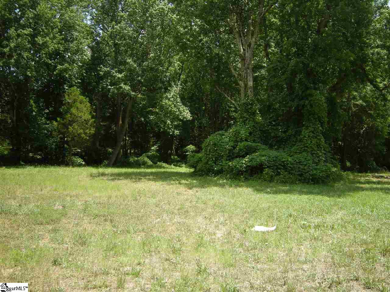 370 Bill Pearson Road Woodruff, SC 29388 - Photo 3 of 13