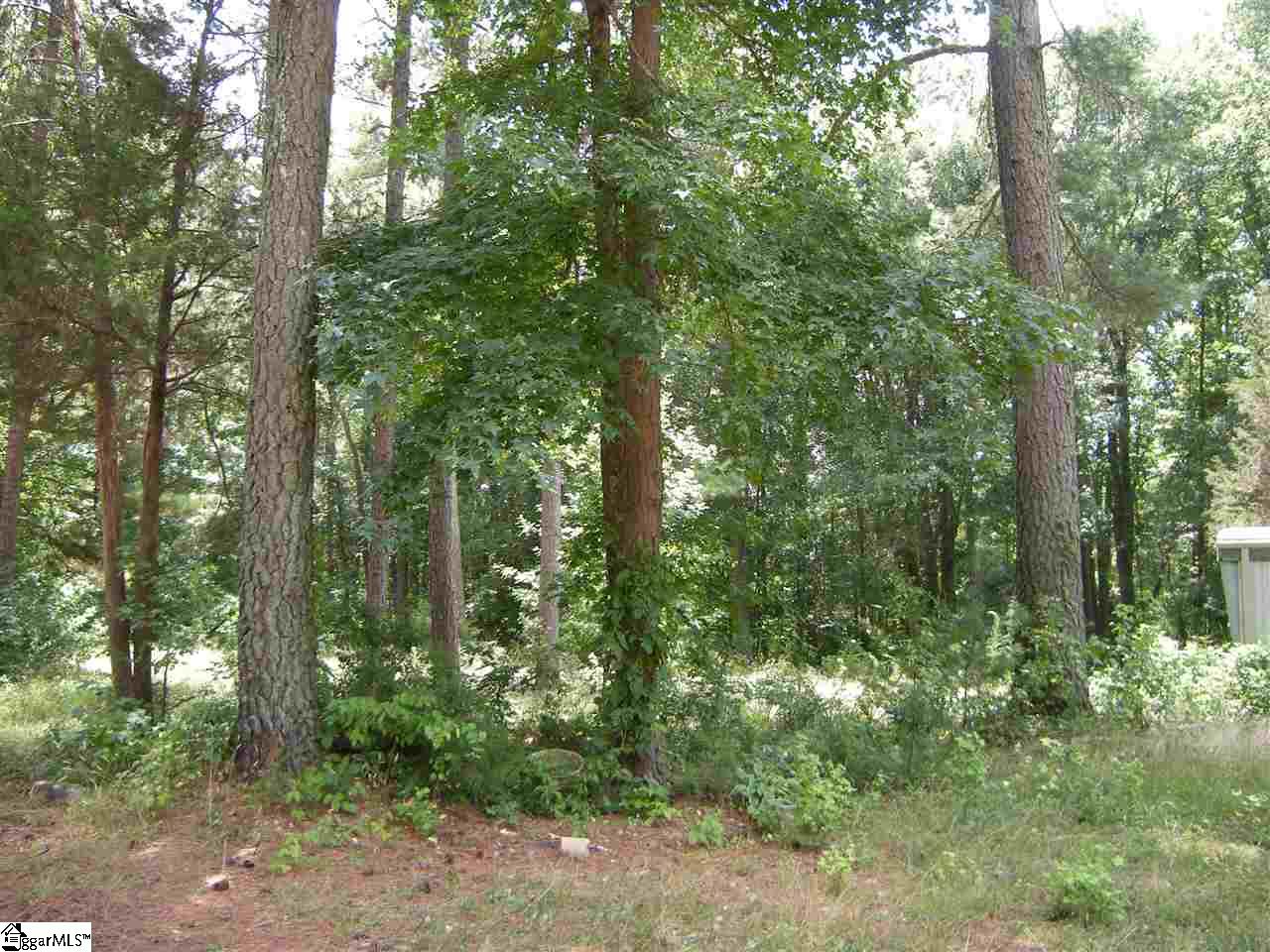 370 Bill Pearson Road Woodruff, SC 29388 - Photo 4 of 13