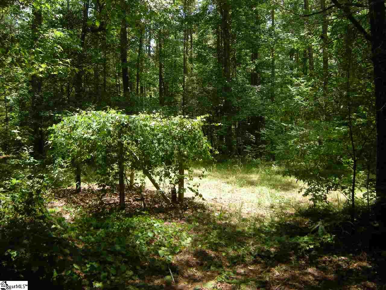 370 Bill Pearson Road Woodruff, SC 29388 - Photo 5 of 13