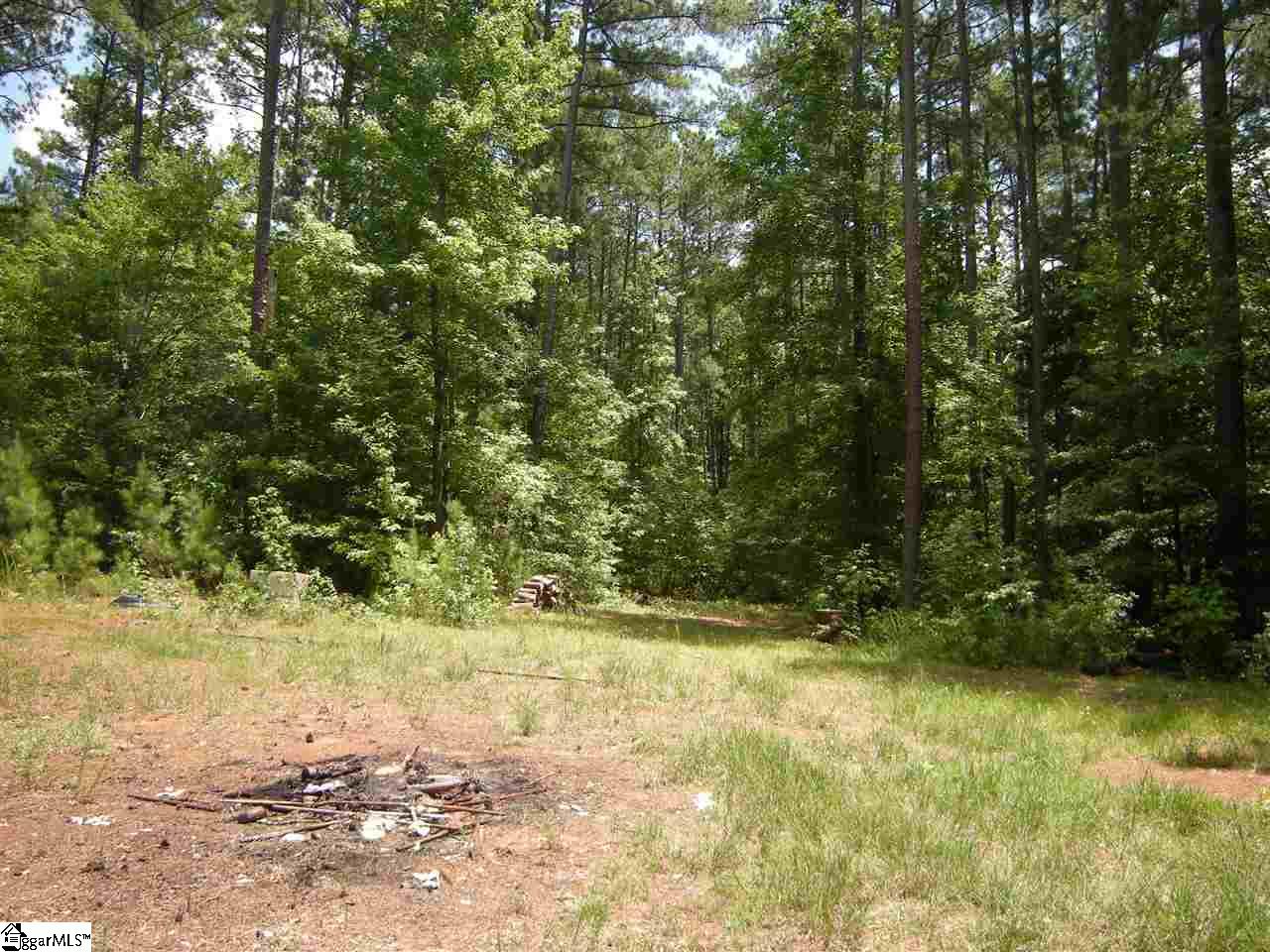 370 Bill Pearson Road Woodruff, SC 29388 - Photo 9 of 13