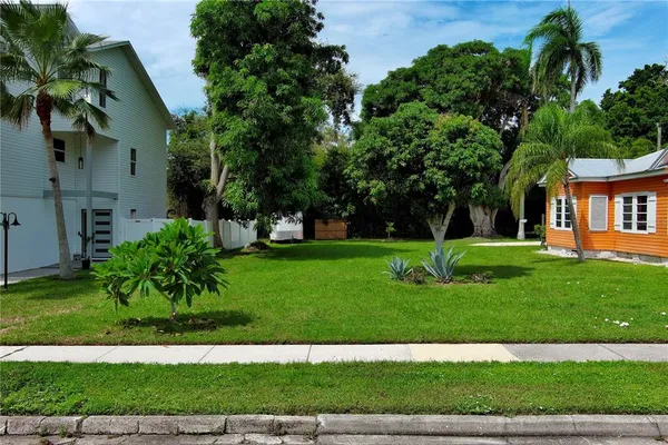 a view of a garden with plants