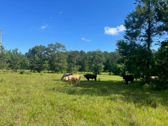 13.37-acres Boyd Road Covington, LA 70435 - Photo 2 of 9