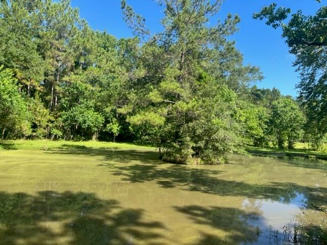 13.37-acres Boyd Road Covington, LA 70435 - Photo 4 of 9