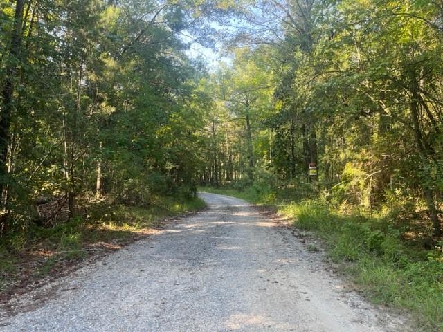 13.37-acres Boyd Road Covington, LA 70435 - Photo 6 of 9