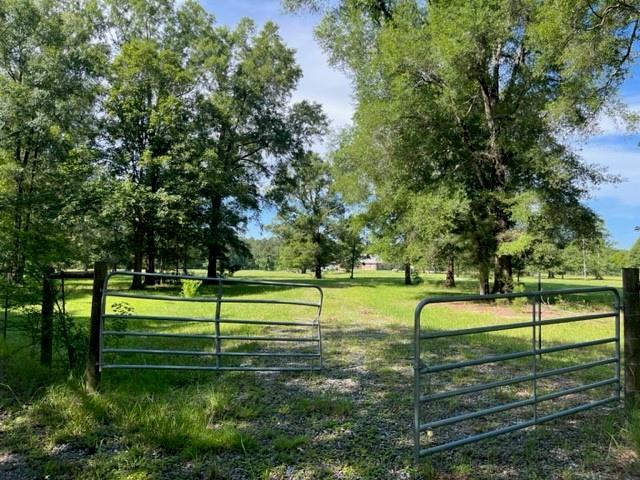 13.37-acres Boyd Road Covington, LA 70435 - Photo 7 of 9