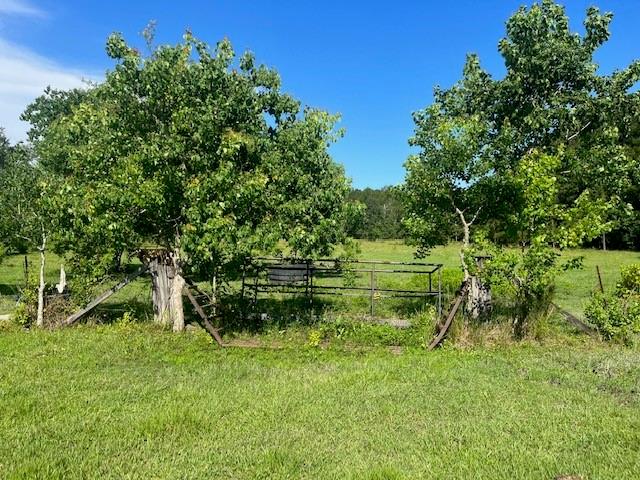 13.37-acres Boyd Road Covington, LA 70435 - Photo 8 of 9