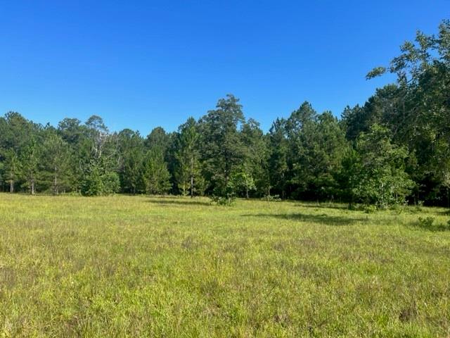 13.37-acres Boyd Road Covington, LA 70435 - Photo 9 of 9