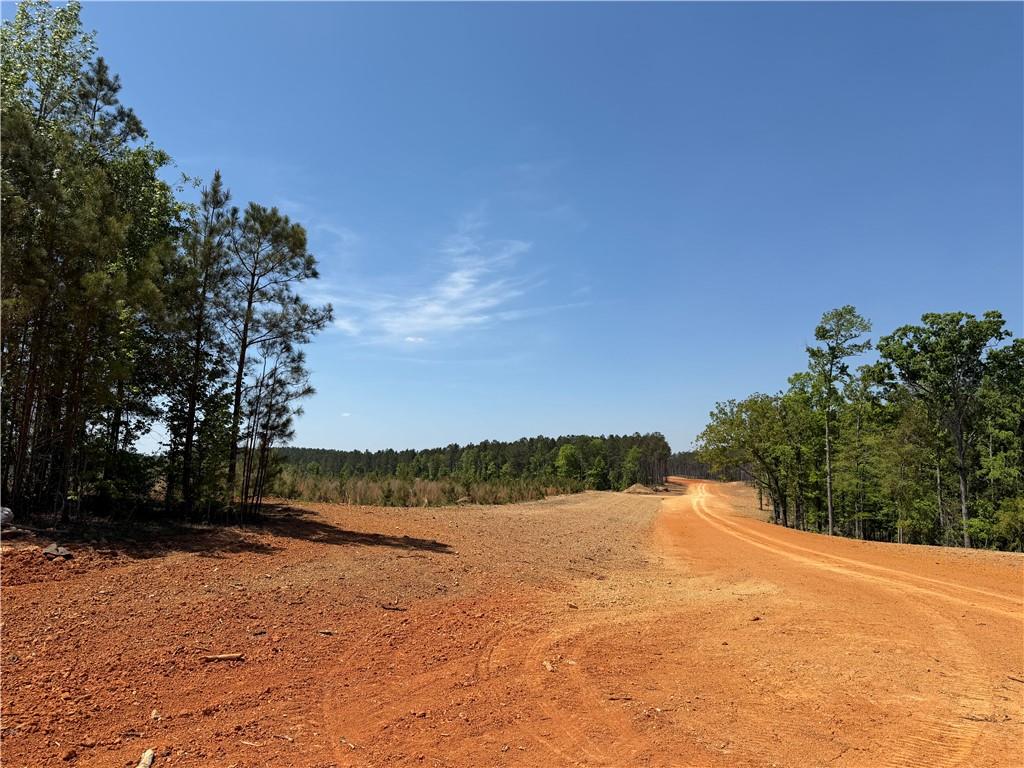 1000 Hidden Harbor Road Lincolnton, GA 30817 - Photo 17 of 45 Gallery Image 17