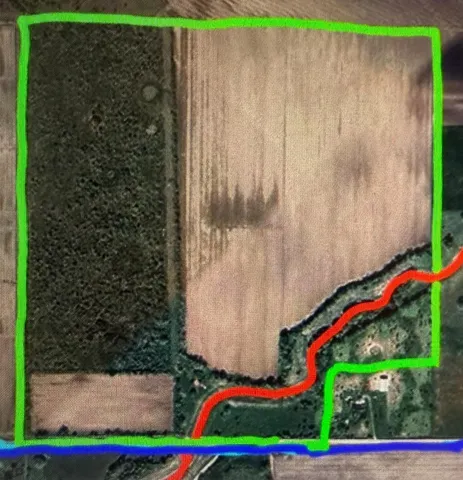 a bird view of a garden