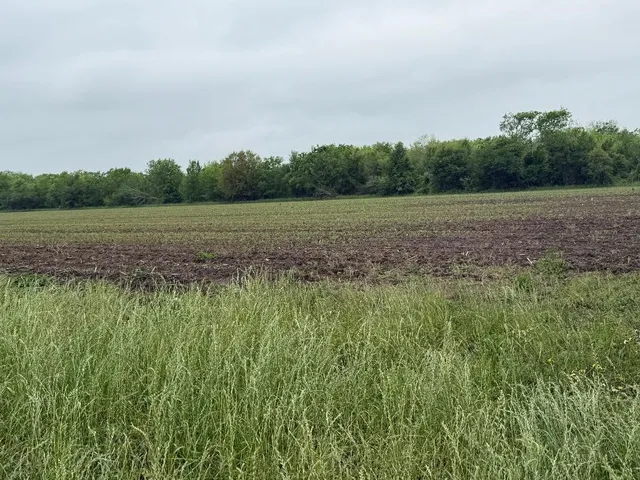a view of an outdoor space and a yard