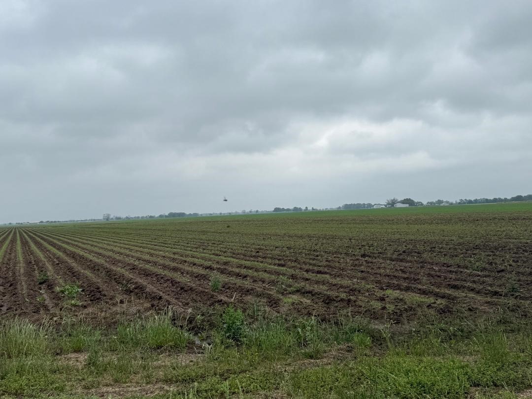 10542 Walker Road Beasley, TX 77417 - Photo 5 of 11 a view of an ocean