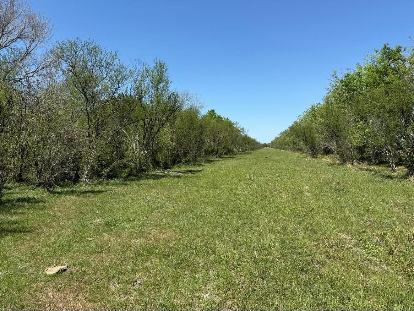 10542 Walker Road Beasley, TX 77417 - Photo 6 of 11 a view of a field with trees in the background