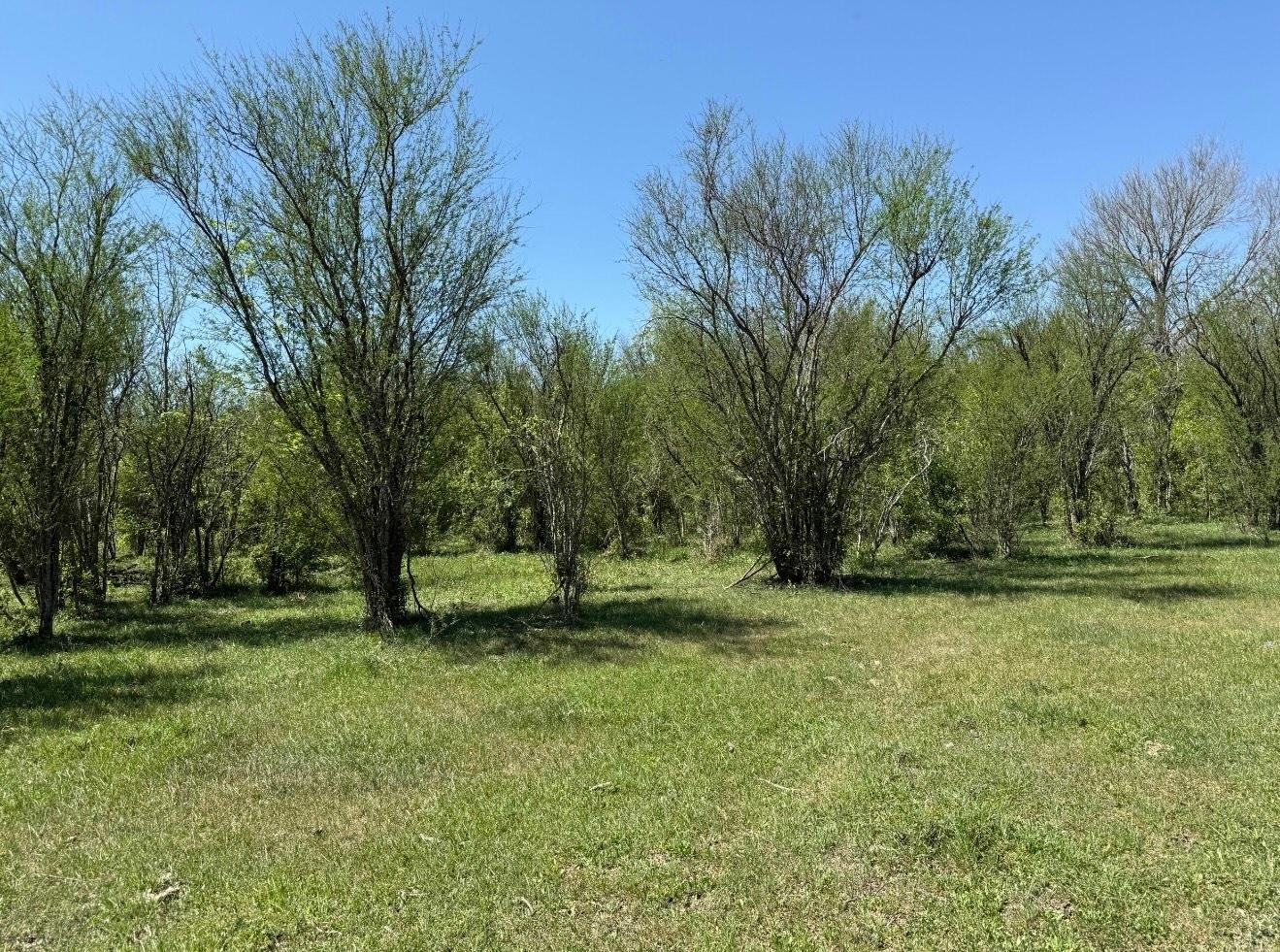 10542 Walker Road Beasley, TX 77417 - Photo 8 of 11 a view of a field with trees in the background