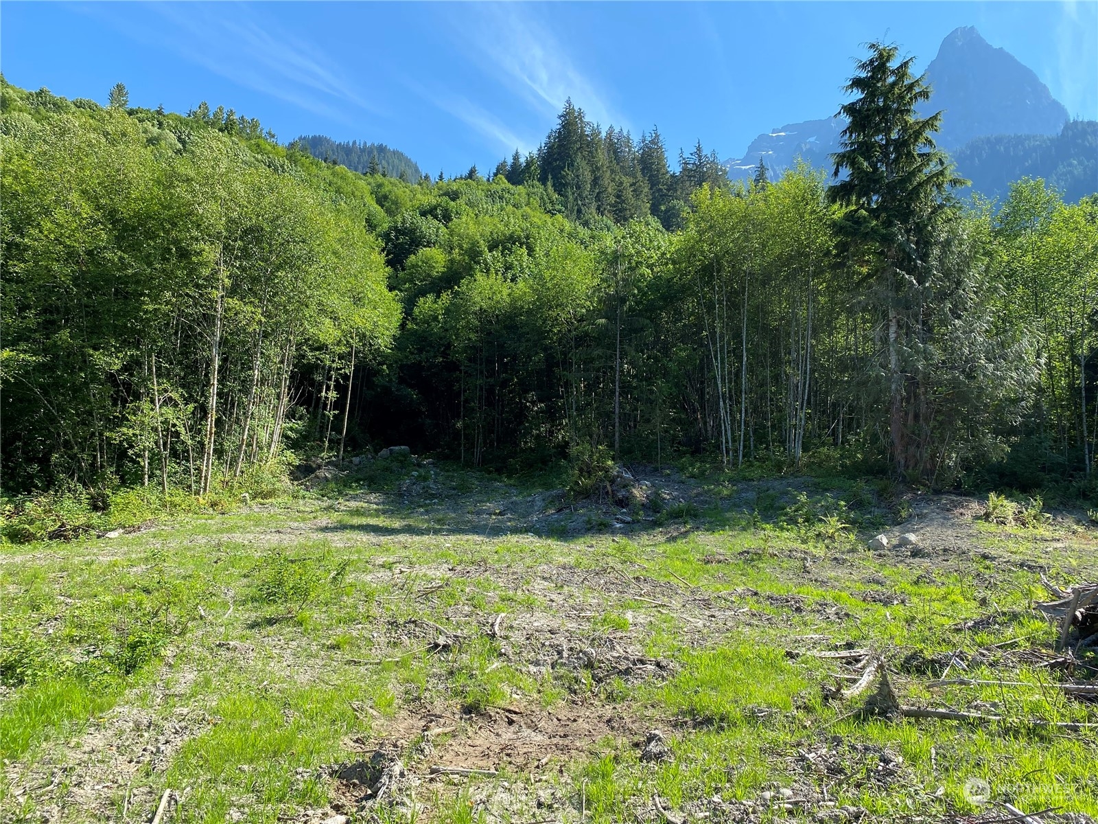 49 Mt Index River Road Gold Bar, WA 98251 - Photo 3 of 27 a view of outdoor space and yard