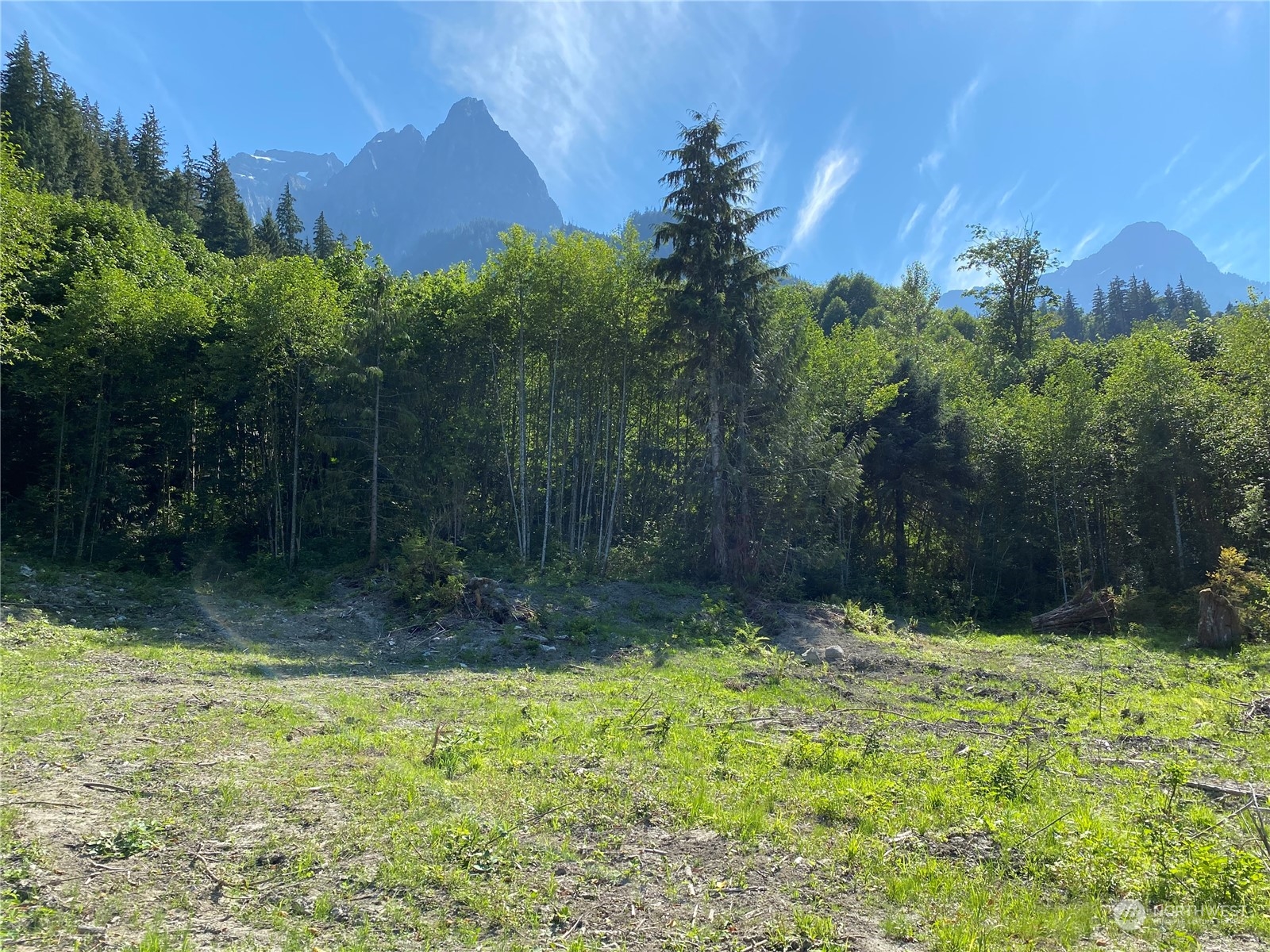 49 Mt Index River Road Gold Bar, WA 98251 - Photo 5 of 27 a view of backyard with green space