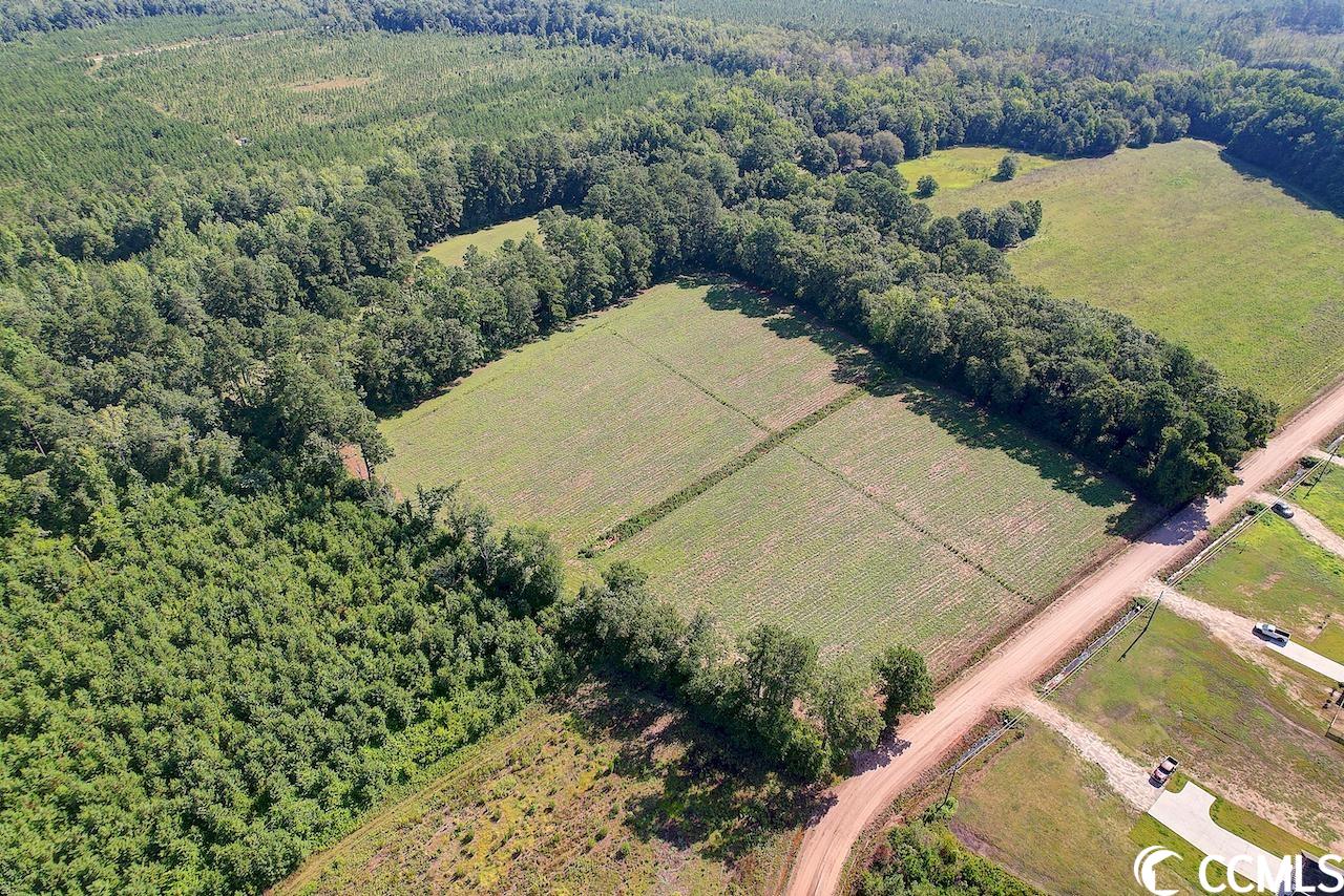 Tbd Persimmon Road Aynor, SC 29511 - Photo 1 of 13 Gallery Image 1