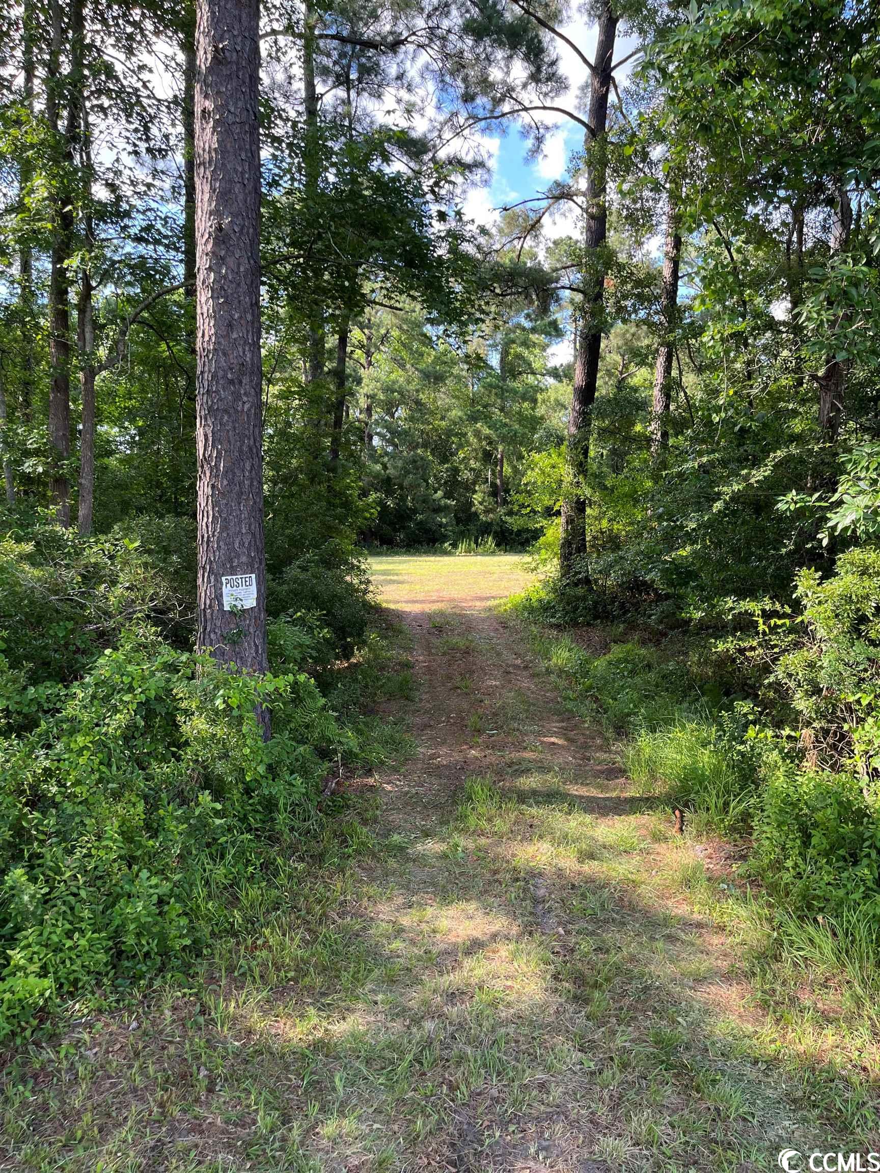 Tbd Persimmon Road Aynor, SC 29511 - Photo 12 of 13 Gallery Image 12