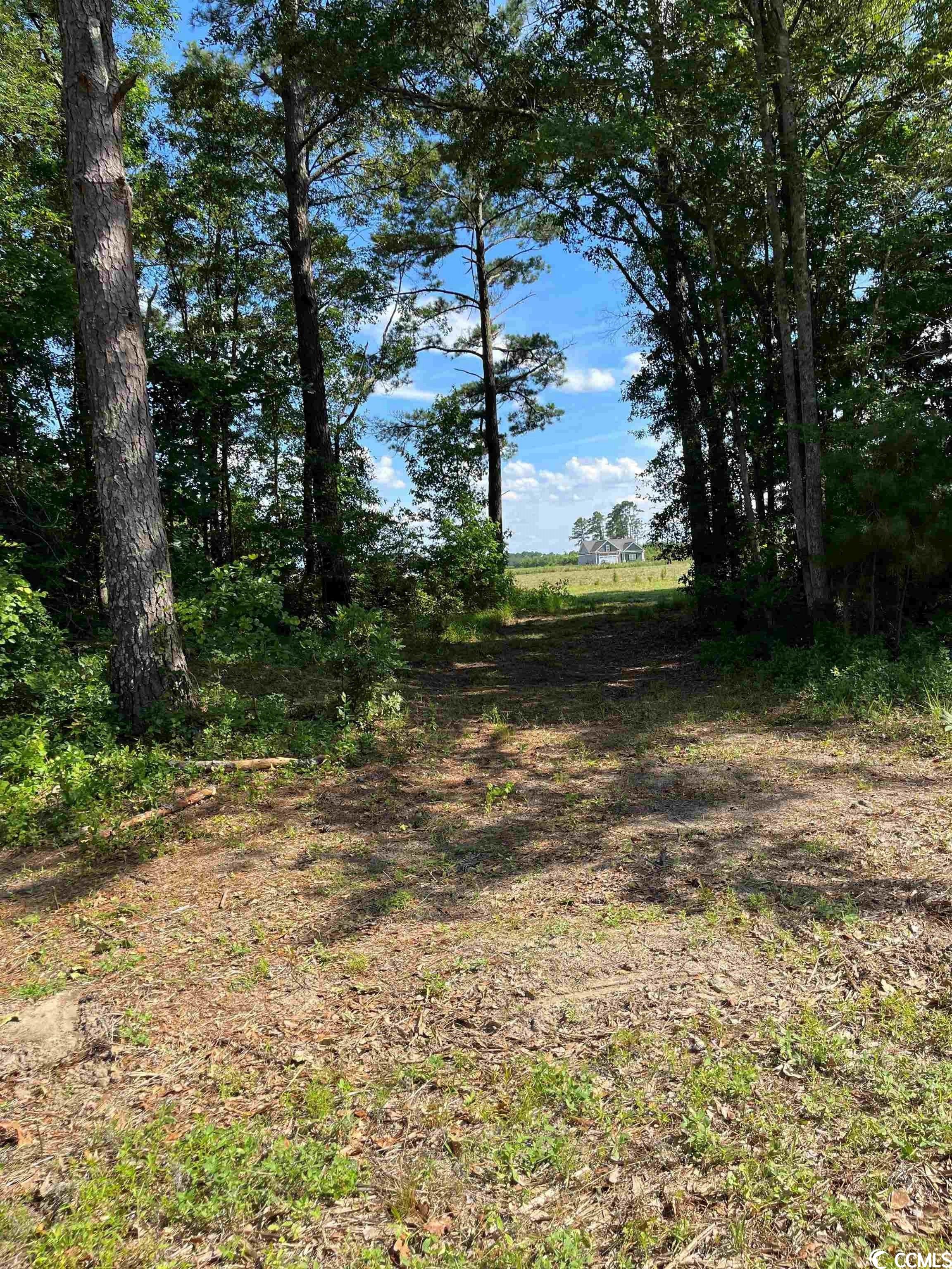 Tbd Persimmon Road Aynor, SC 29511 - Photo 13 of 13 Gallery Image 13
