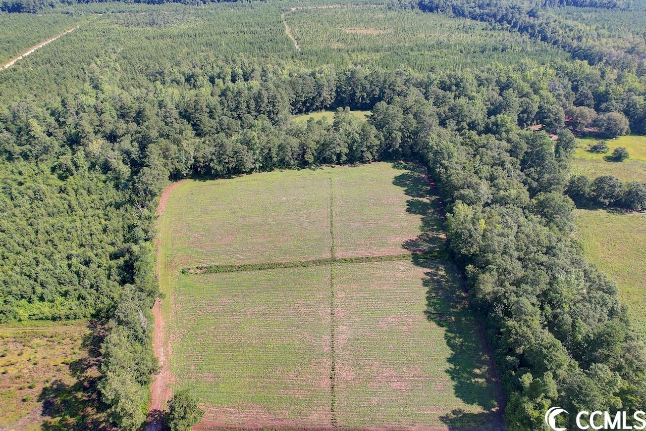 Tbd Persimmon Road Aynor, SC 29511 - Photo 2 of 13 Gallery Image 2