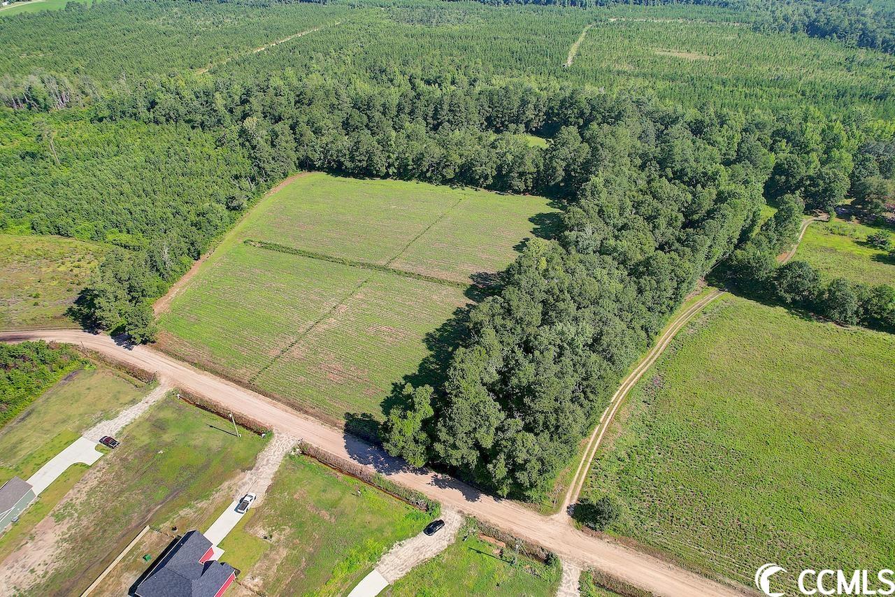 Tbd Persimmon Road Aynor, SC 29511 - Photo 5 of 13 Gallery Image 5