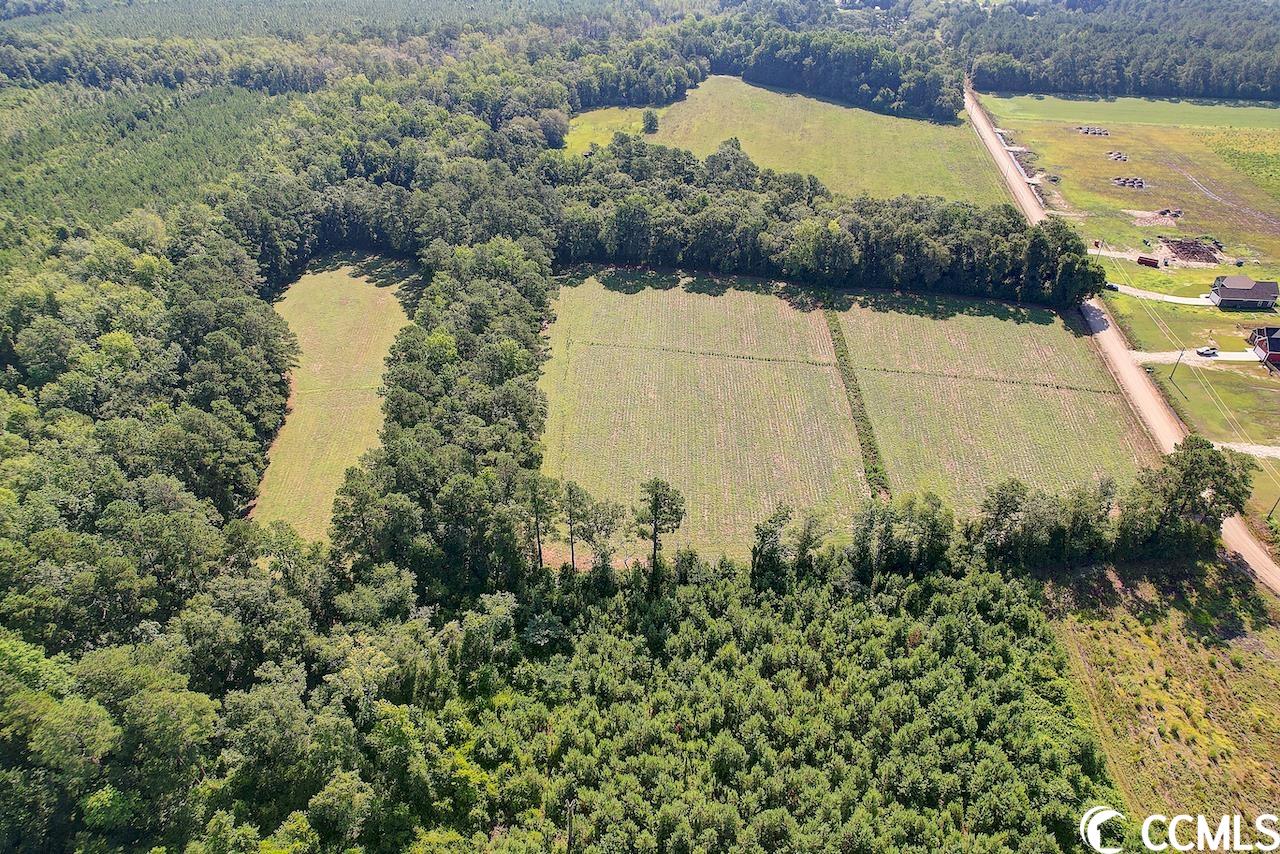 Tbd Persimmon Road Aynor, SC 29511 - Photo 6 of 13 Gallery Image 6