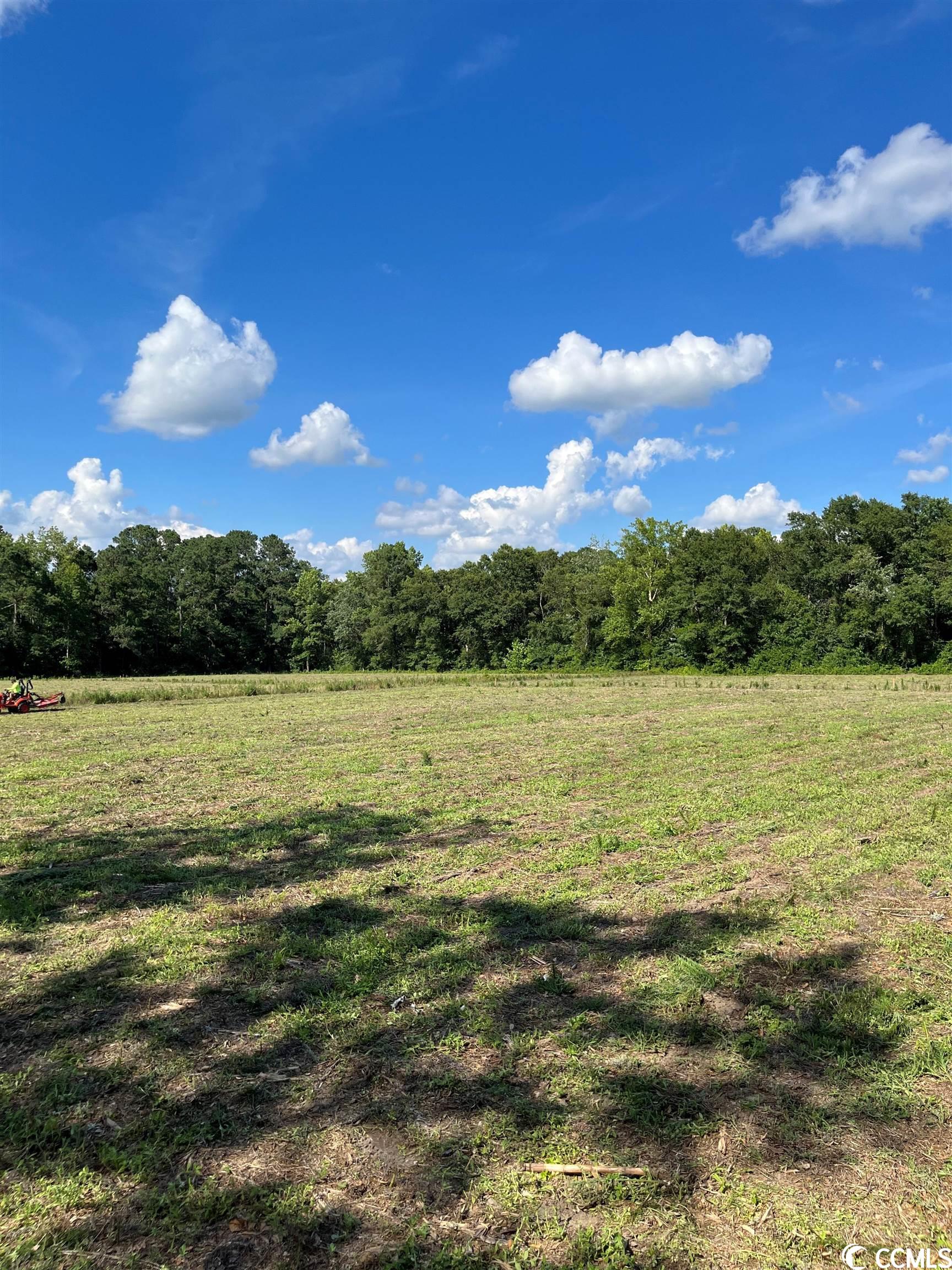 Tbd Persimmon Road Aynor, SC 29511 - Photo 7 of 13 Gallery Image 7
