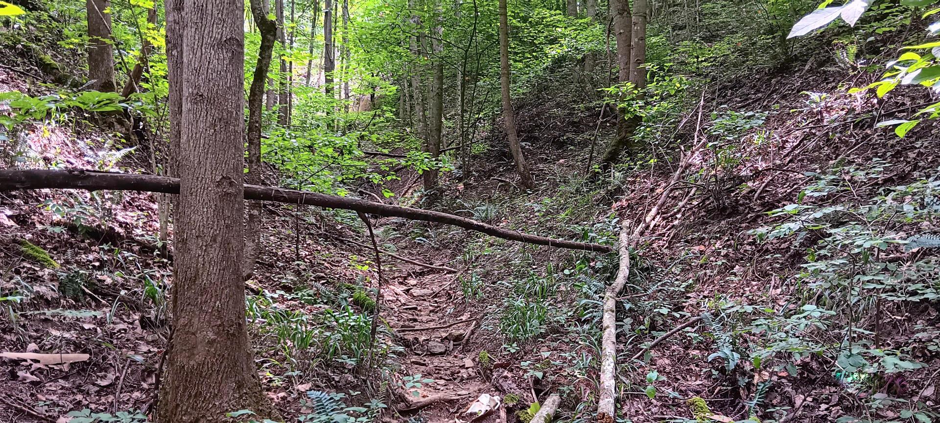 0 Orpheus-Keystone Road, Unit VALLEY VIEW CABIN KEYSTONE) Thurman, OH 45685 - Photo 15 of 58 CT-15