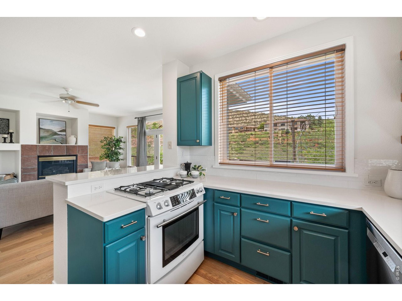 1012 Steamboat Valley Road Lyons, CO 80540 - Photo 11 of 42