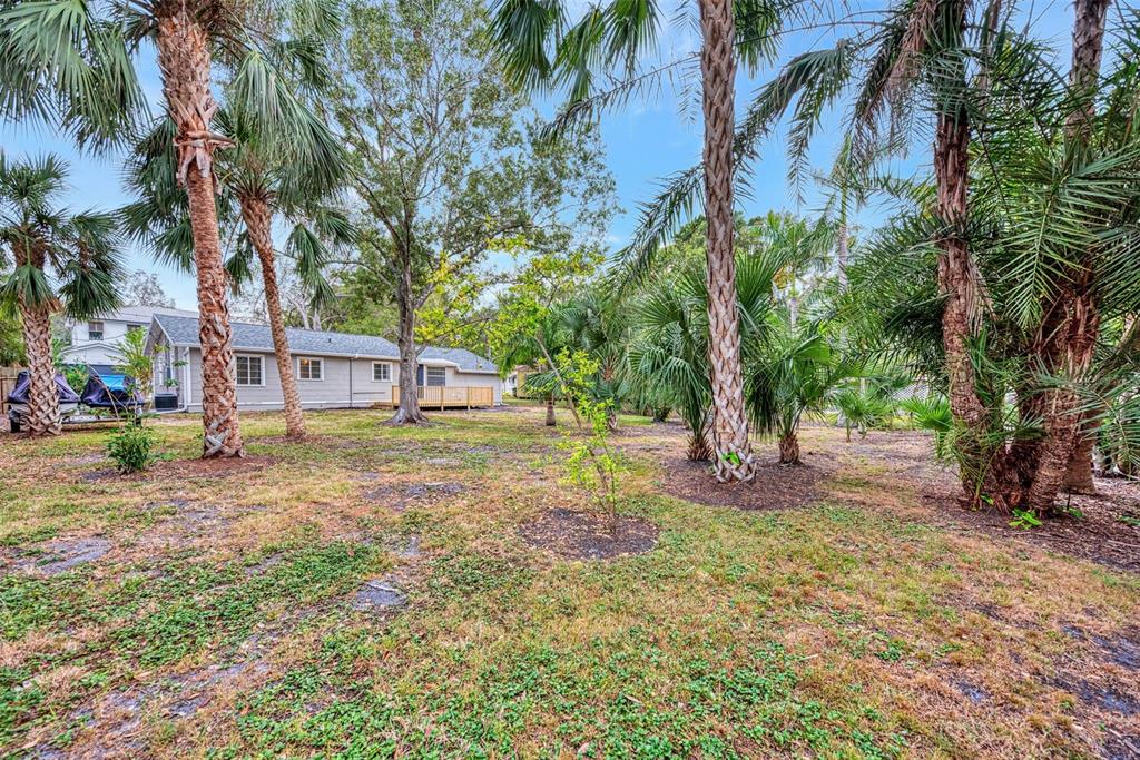 1891 Prospect Street Sarasota, FL 34239 - Photo 26 of 35
