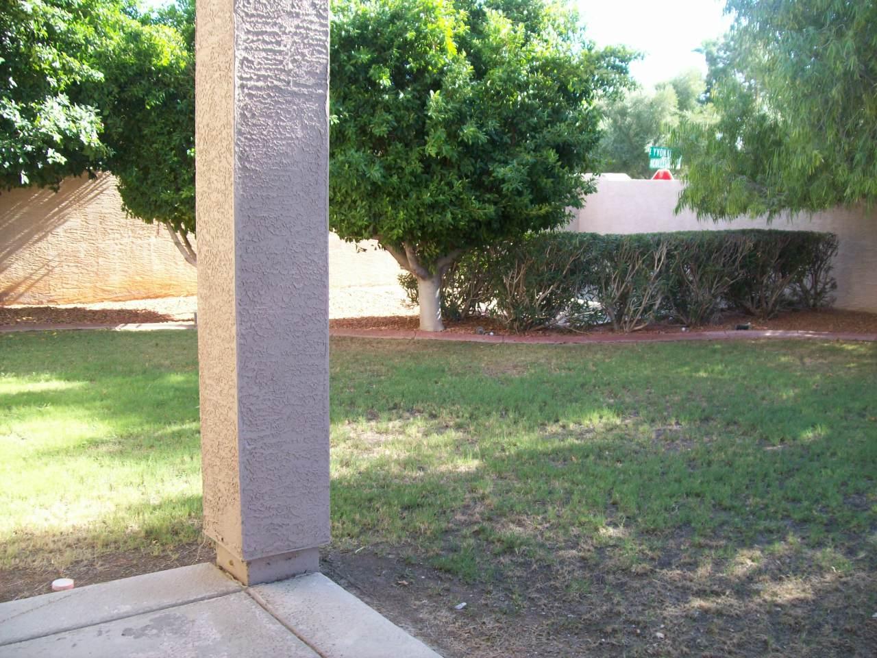 9786 South La Rosa Drive Tempe, AZ 85284 - Photo 16 of 18 Nice backyard
