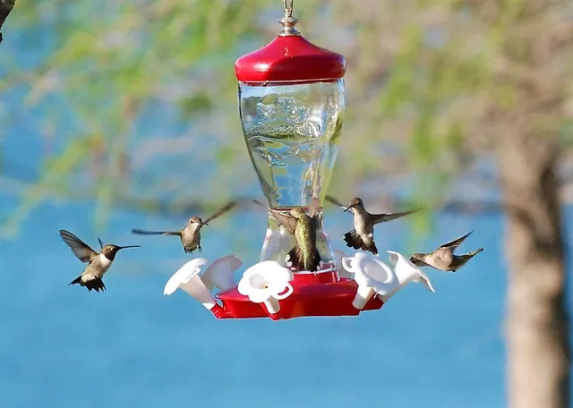 $365,000 | 504 Doe Lane, Graham, TX 76450